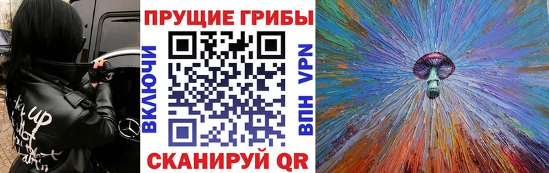 KRAKEN ССЫЛКА  Волжский  Галлюциногенные грибы ЛСД 